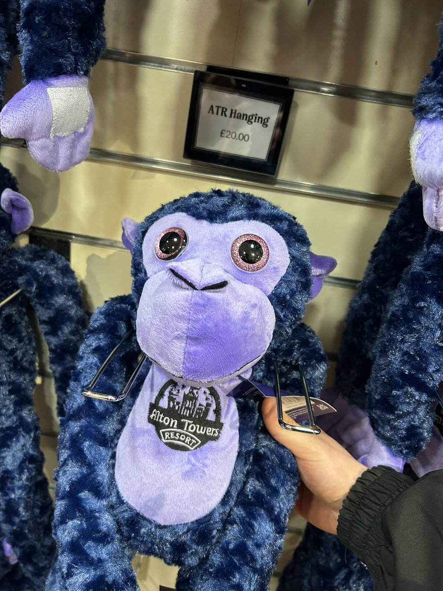 The Alton Towers Resort.. Hanging?