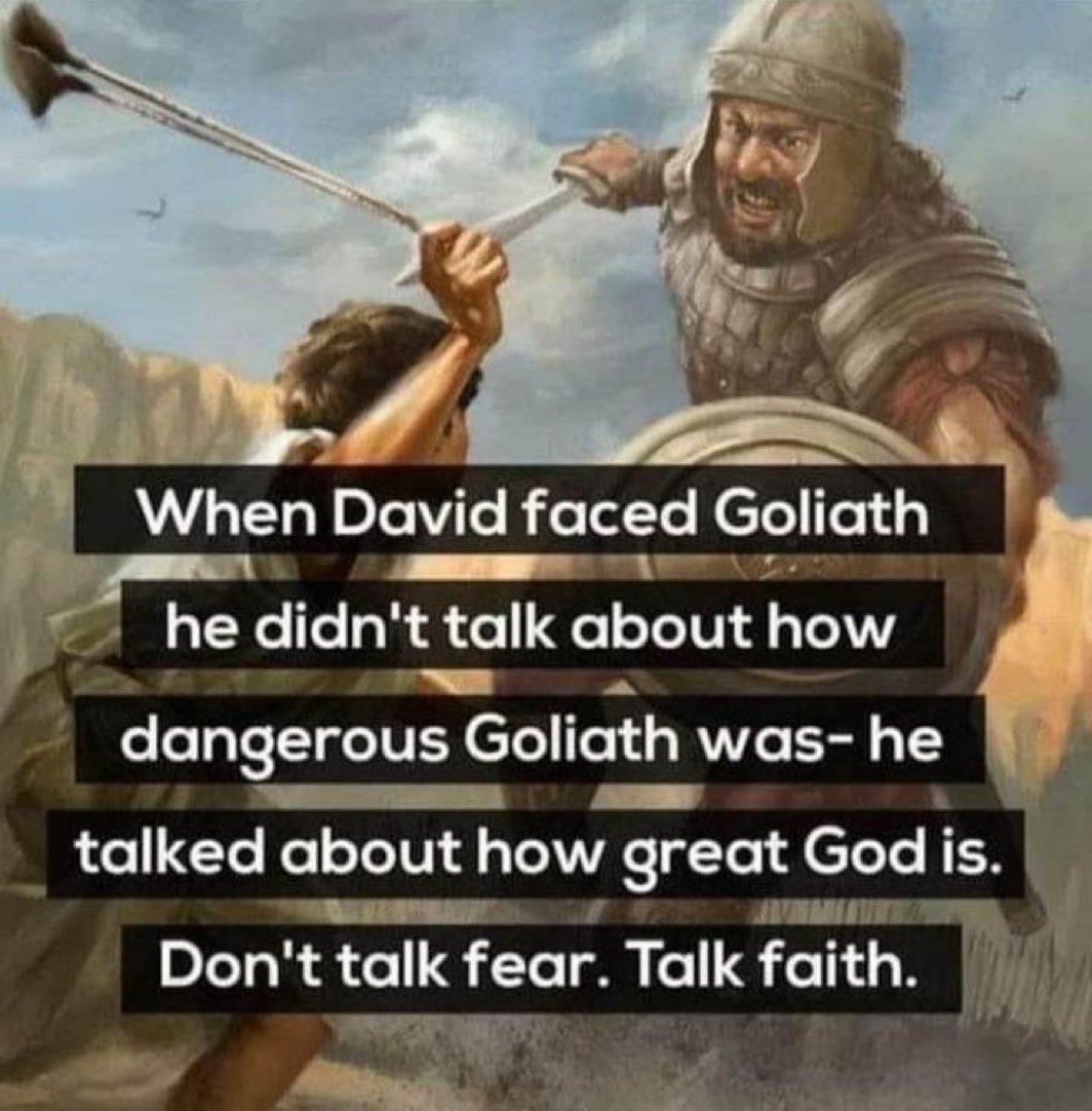 The Bible for Life (@thebibleforlife) on Twitter photo 