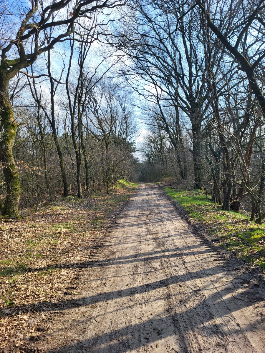 Remco Stals 🔽 tweet media