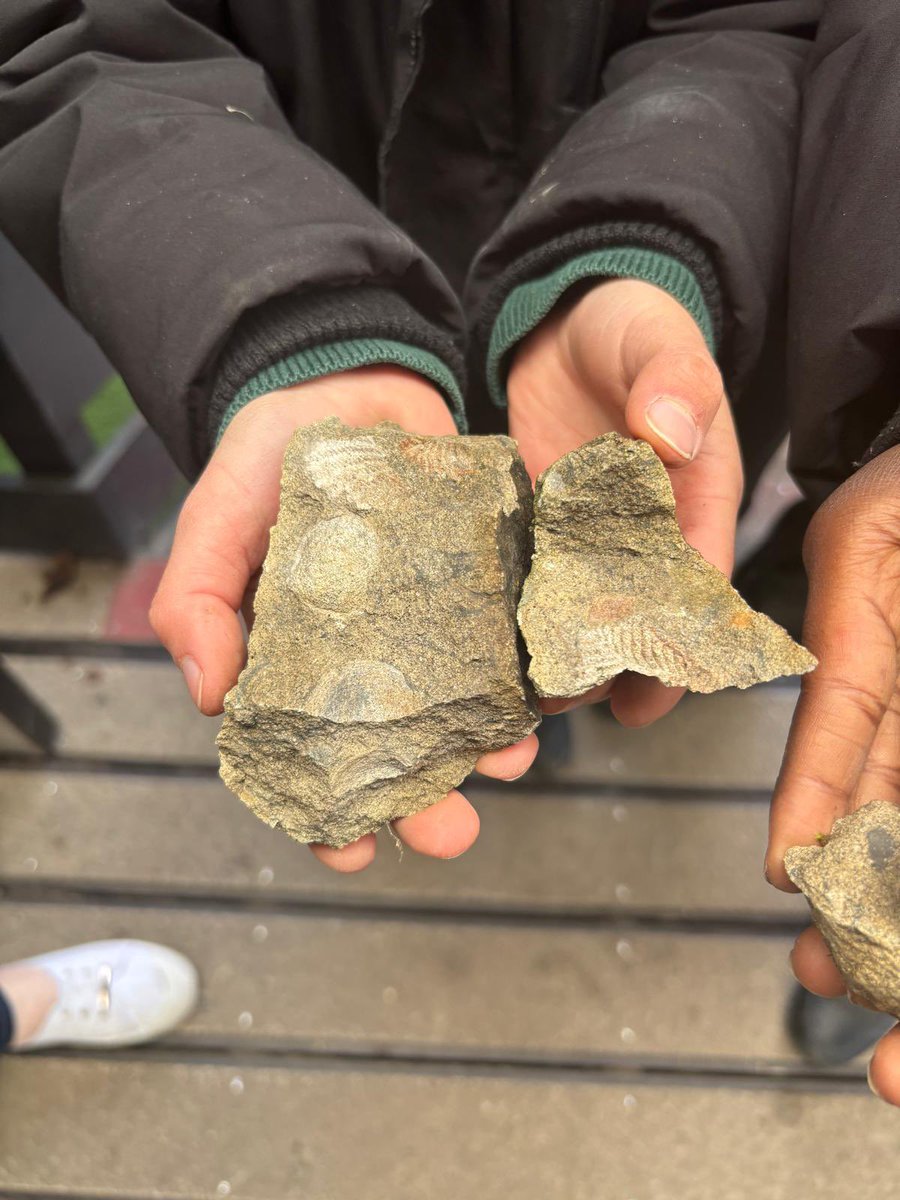 Discovery Primary School Year 4 tweet media