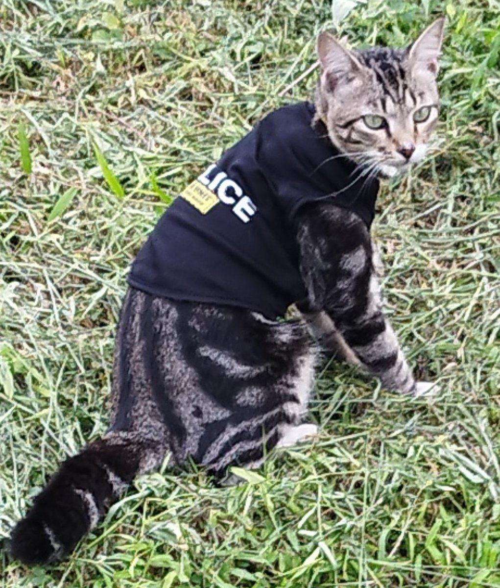 Yang ini dijamin jujur,masuknya juga gak bayar....ga macam macam lagi