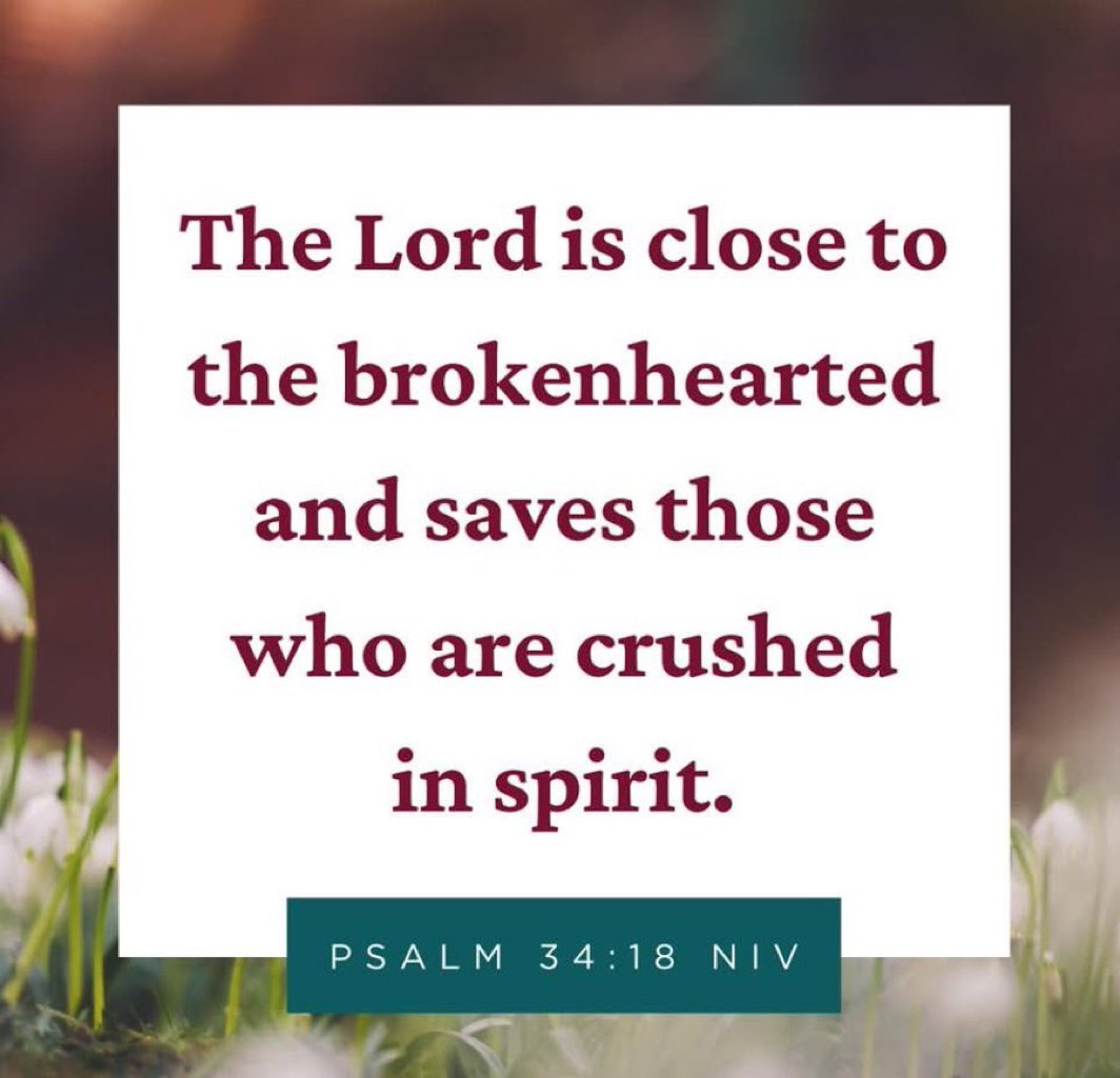 The Bible for Life (@thebibleforlife) on Twitter photo 