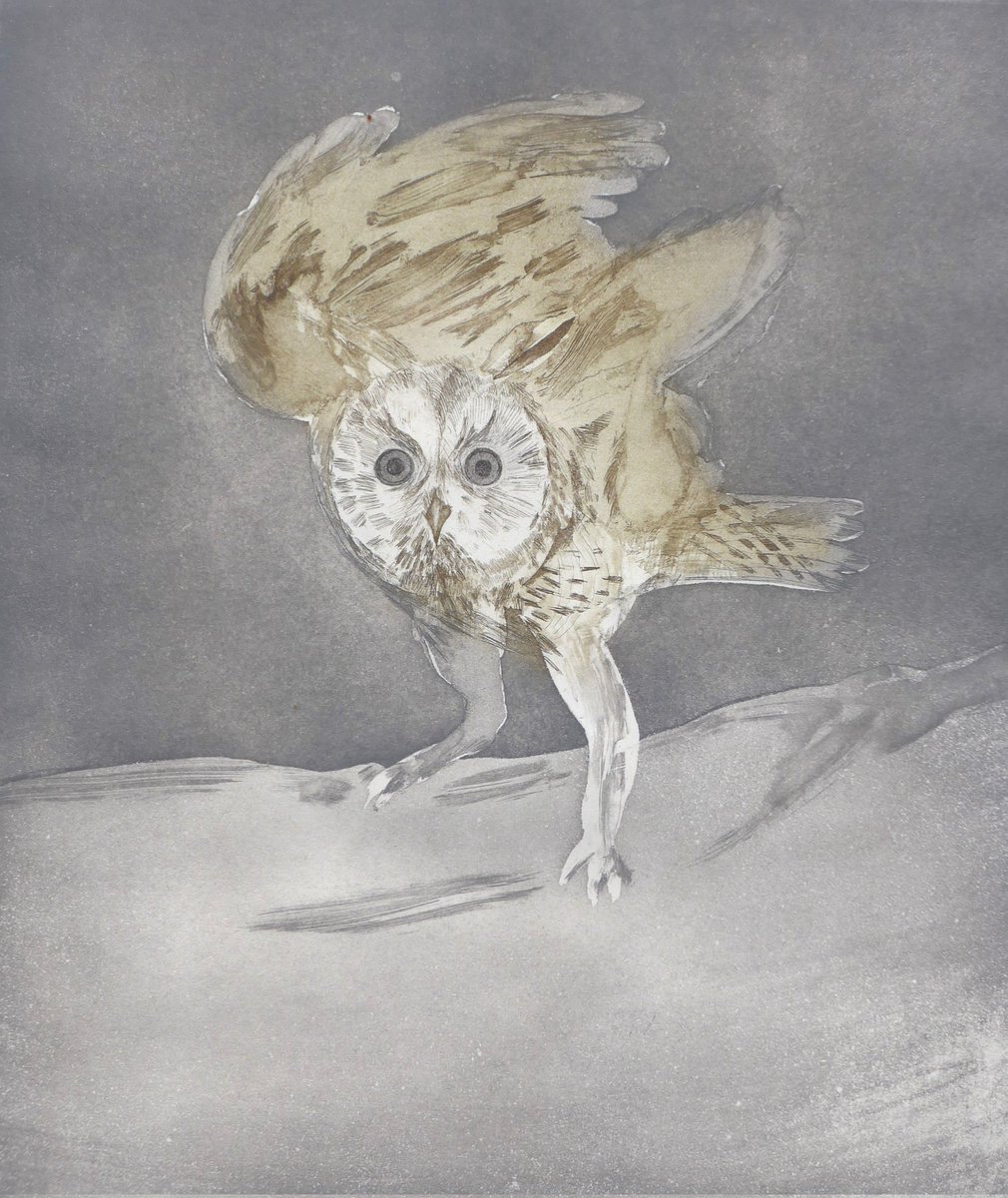 James Bassam tweet media