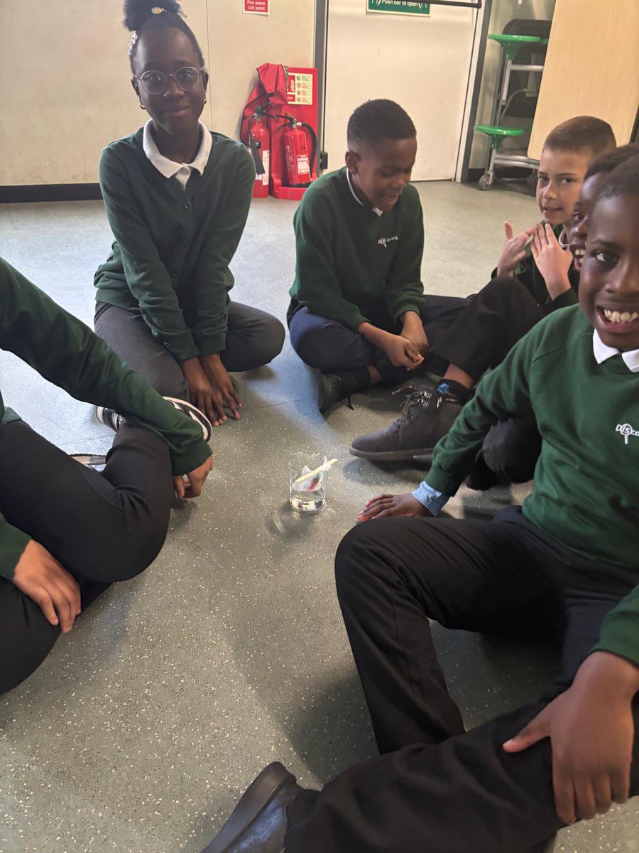 Discovery Primary School Year 4 tweet media