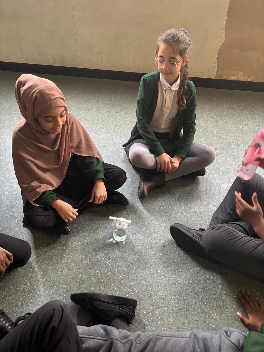 Discovery Primary School Year 4 tweet media