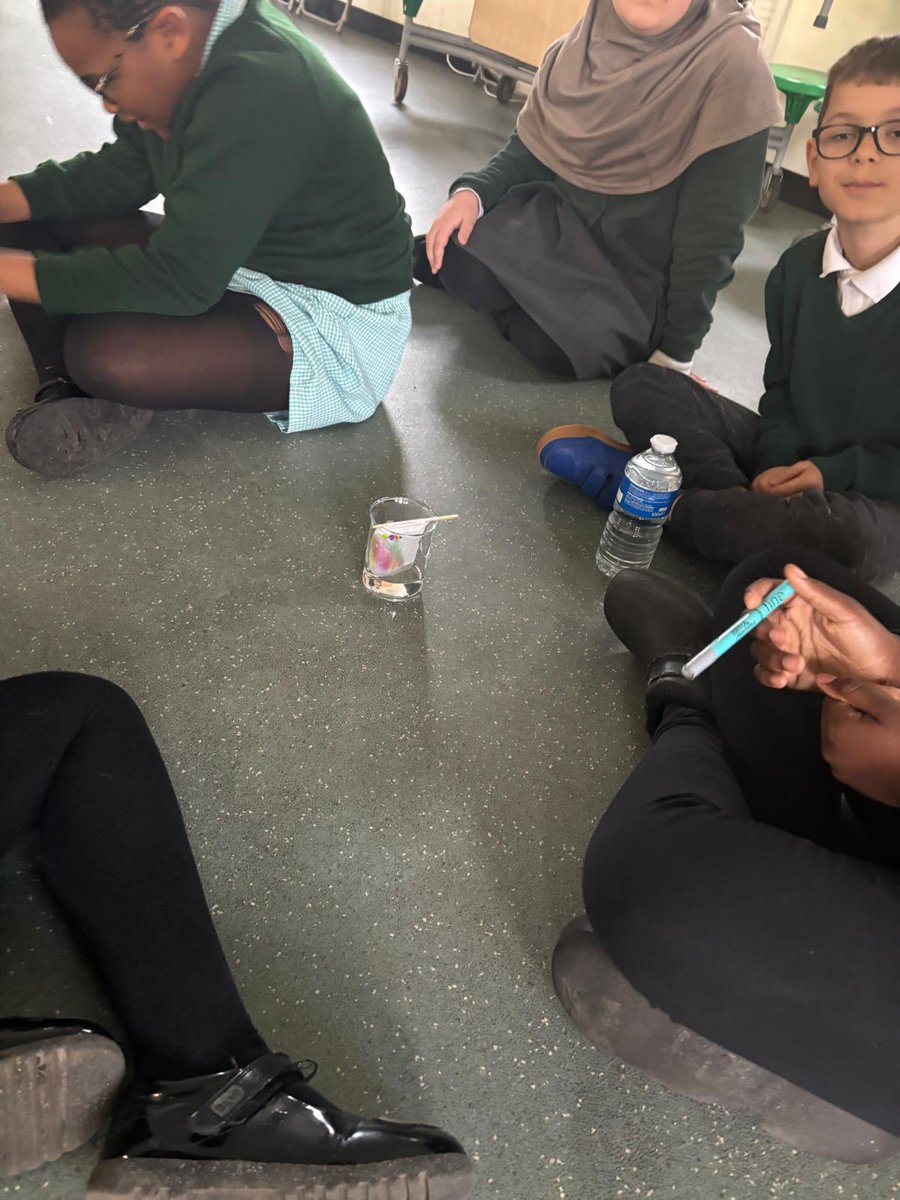 Discovery Primary School Year 4 tweet media