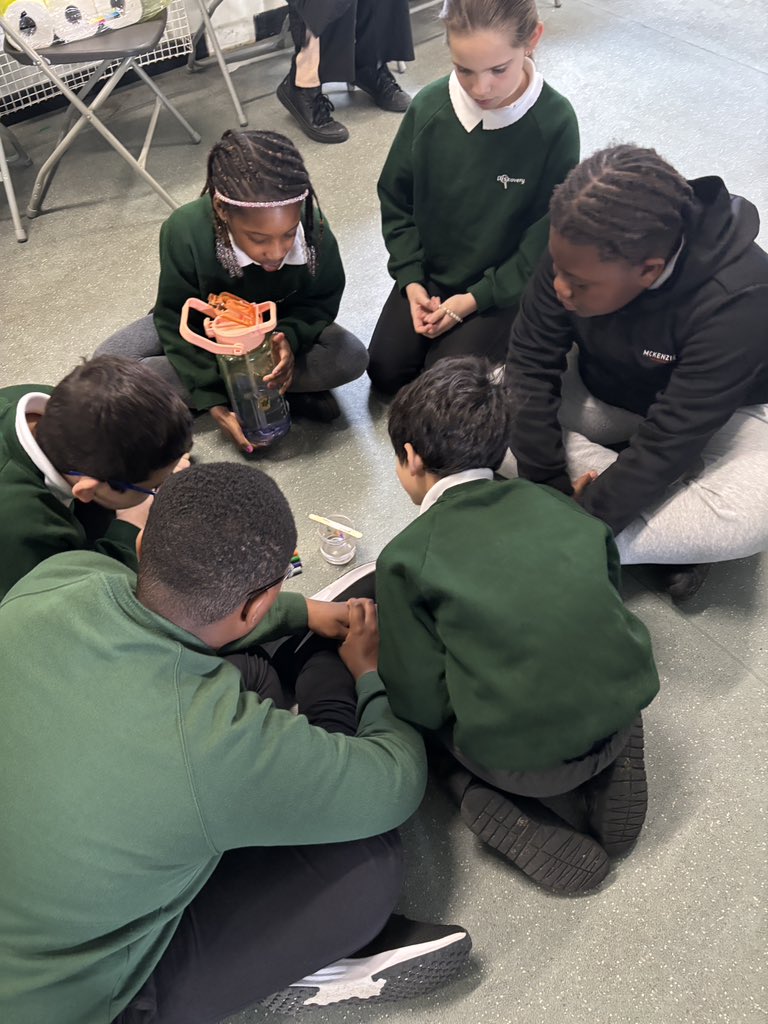 Discovery Primary School Year 4 tweet media