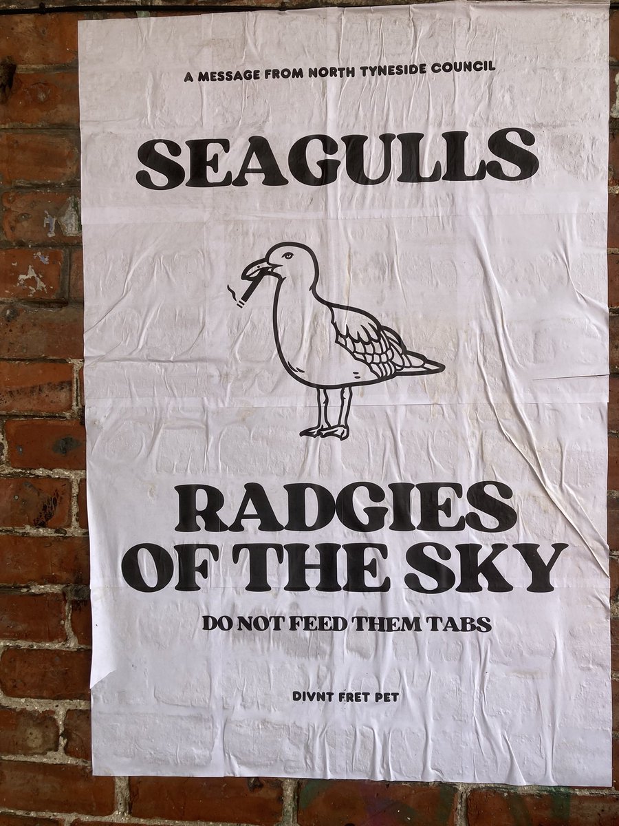 Tygers Of Pan Tang tweet media