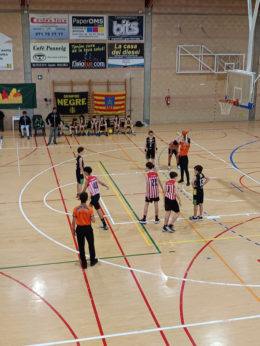 Front1989EBC (@front1989ebc) on Twitter photo Presents al pavelló #to_rent per veure els <a href="/esporlesbc/">ESPORLES B.C.</a> #infantilgroc vs @basquetmanacor
#123esporles #welovethisgame🏀 #negrigocs #verdhistòric #front1989 #frontismeillibertat #nohaymásconos #elbàsquetcansa #semprepresents #semperfidelis Presents al pavelló #to_rent per veure els <a href="/esporlesbc/">ESPORLES B.C.</a> #infantilgroc vs @basquetmanacor
#123esporles #welovethisgame🏀 #negrigocs #verdhistòric #front1989 #frontismeillibertat #nohaymásconos #elbàsquetcansa #semprepresents #semperfidelis