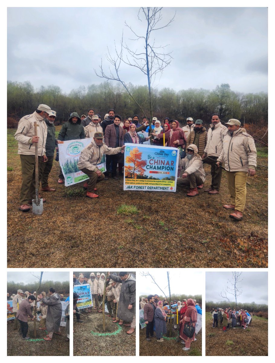 forest_sindh's tweet photo. On the eve of Chinar Day, 15th March 2025, a plantation drive was successfully conducted across the Sindh Forest Division, Ganderbal. Around 250 plants were planted across the division. https://t.co/5svvVFuwg6