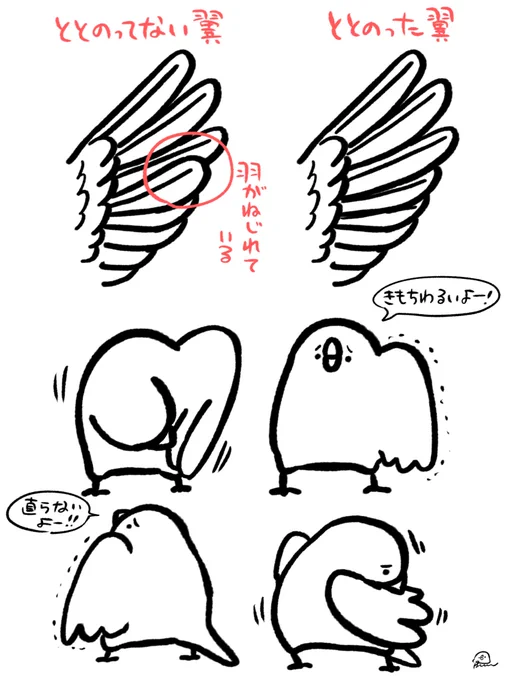 羽プルが続く時は翼の羽が捻れてるかも? 