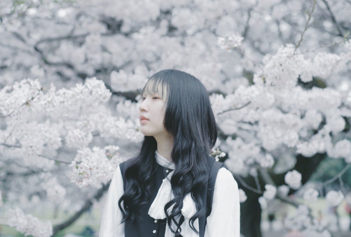 seihitsu___'s tweet photo. きみも https://t.co/S5jzIzazJD