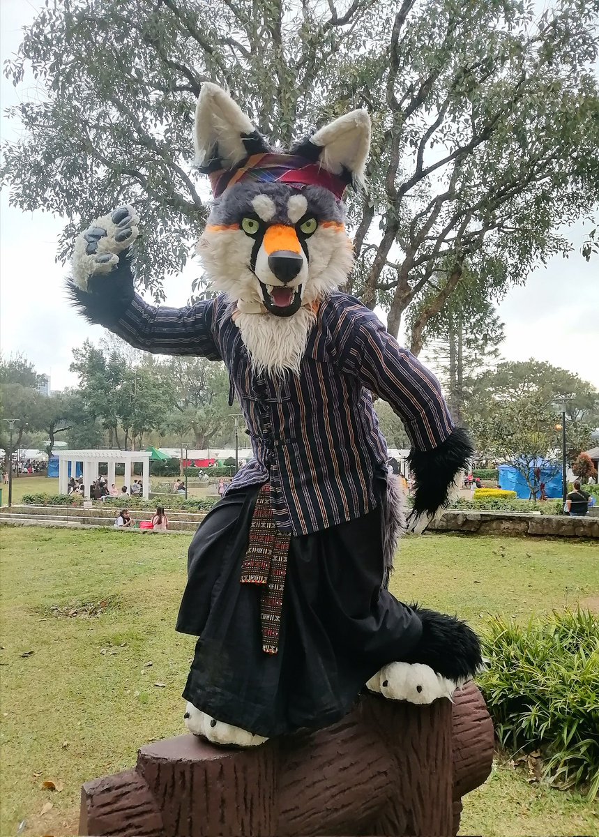 Photos of us fursuiting at Burnham Park, with <a href="/PNOCreations/">Nikko Ong (Fursuit Commission) CLOSED</a> <a href="/Mitri_Fox/">Mitri Fox</a> , <a href="/thanshuhai/">AZION / RIKKUN 🔥🦈</a>,
<a href="/RealWeruwolf/">Ulfr The Eternal Werewolf</a> , <a href="/FoxixusArt/">FOXIXUS 🌱</a> , <a href="/GamerWolvx/">Wolvx</a> the rest be our handlers and photographers, while <a href="/dude_verse/">░ P R I S M / V E R S E ░</a>  be gaurding our stuff.
 #fursuit #FursuitEveryday #furries #baguio #Philippines