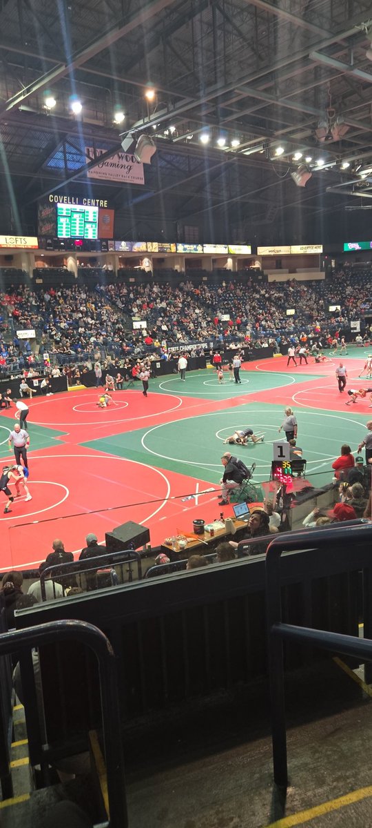 Coach Redmond and I are at the Jrh and Freshman OAC states in Youngstown.  3 Tigers wrestling this weekend..
 2 Jrh and 1 Freshman.