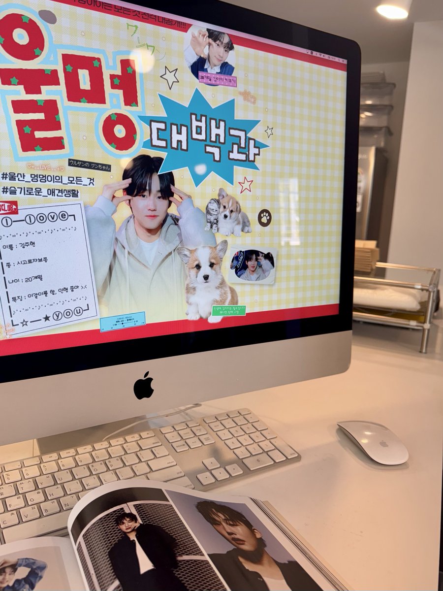 l0ngaini's tweet photo. 만두도 시롱이도 쭈혀니를 응원해요 ✊🏻💛
생일 축하했고 인형도 감사합니다 //

#20개월강아지키우기 https://t.co/8BDPFkrg7q
