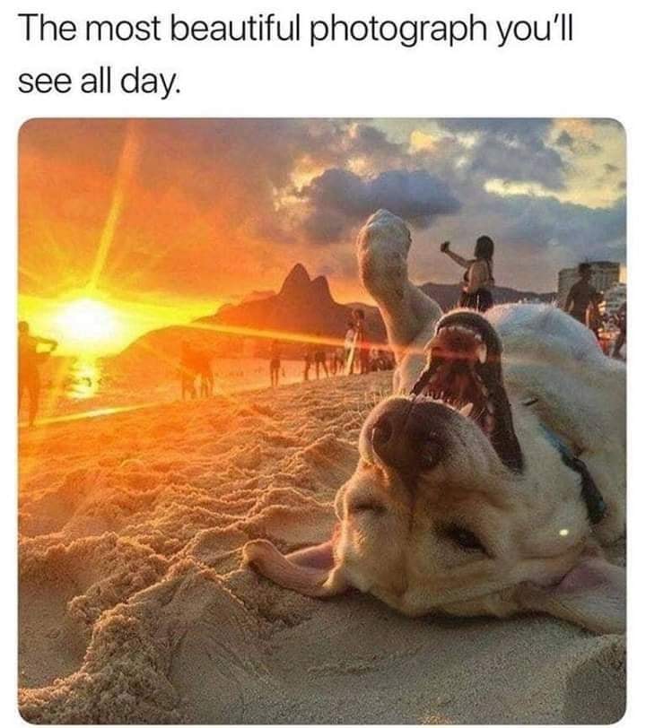 Dalbodog's tweet photo. I love this.. https://t.co/PueuUyxZRs