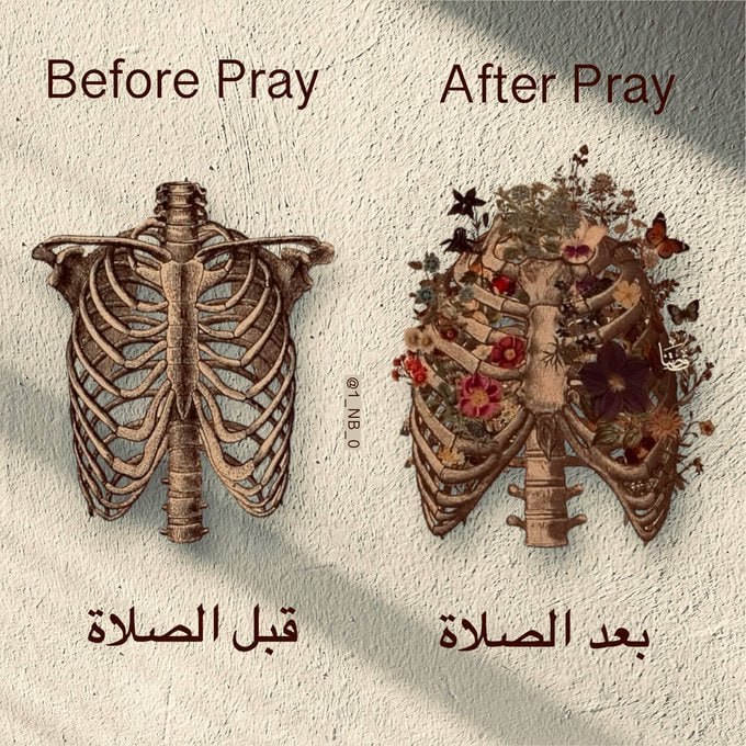 "الصلاة تجعلك تُزهر."♥️