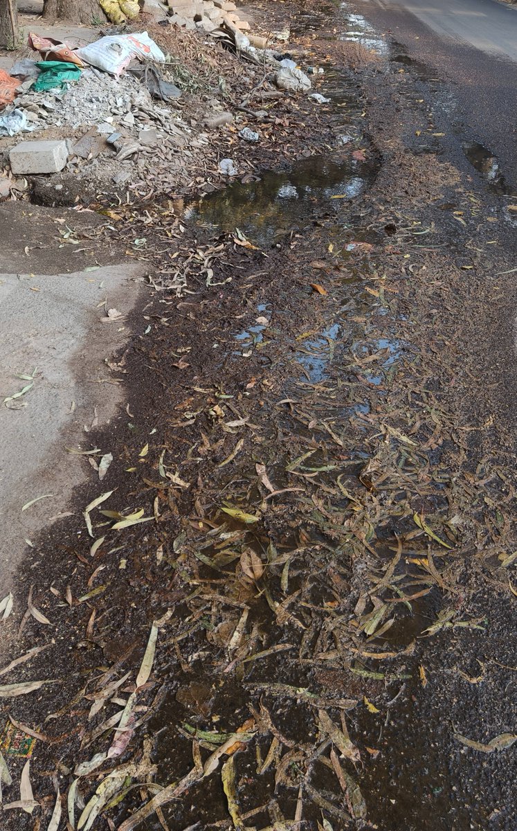 IamMobi's tweet photo. @MCD_Delhi  @SBM_MCD @BJP4Delhi @CMODelhi @LtGovDelhi  The accumulation of  debris, constant flow of sewage water and litter at W Block GK-2 main road connecting Alaknanda not only hampers the beauty of our colony but also poses safety hazards to pedestrians &amp; motorists. https://t.co/FCS9XW7W9B