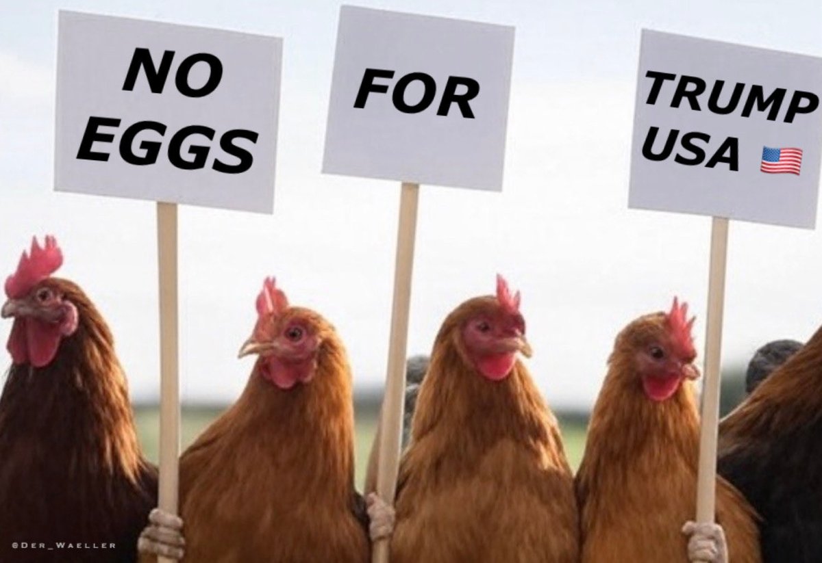 Europas Hühner protestieren… 🐓