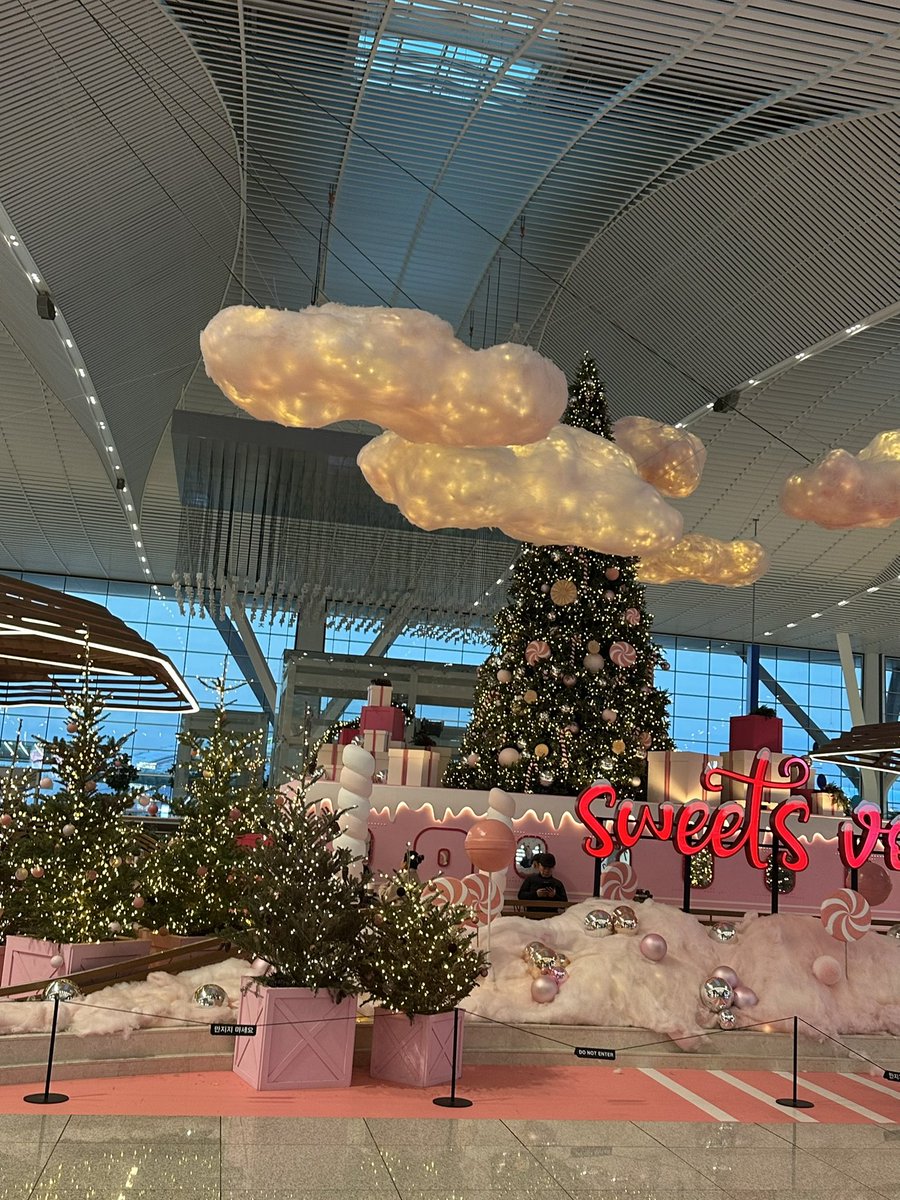 𝘔𝘢𝘺 🧸 韓国在住 tweet media