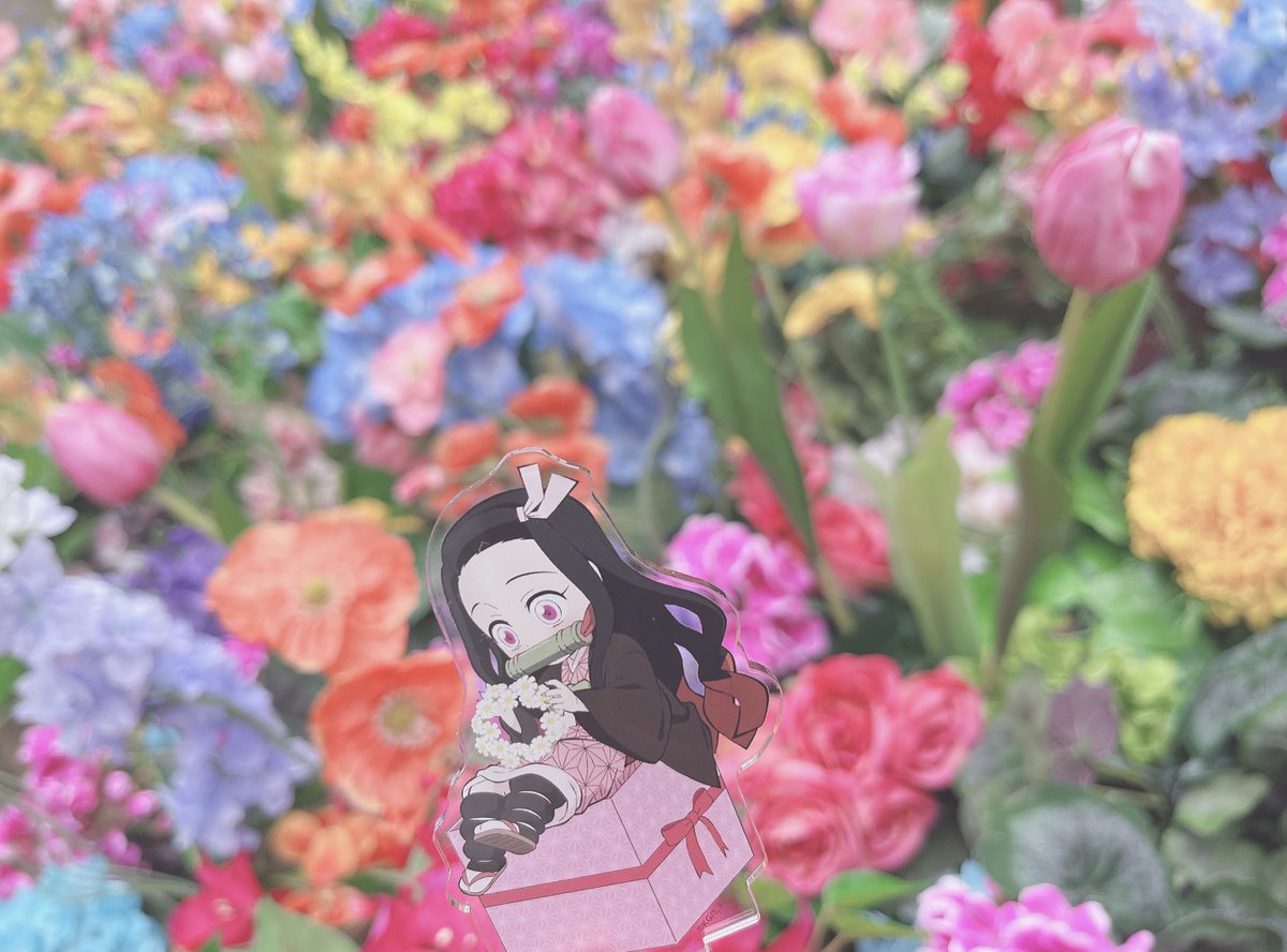 しー🌸 tweet media