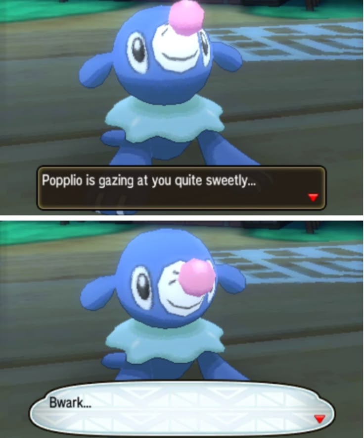 OoCPokemon's tweet photo. good morning https://t.co/NEQHtl5CYX