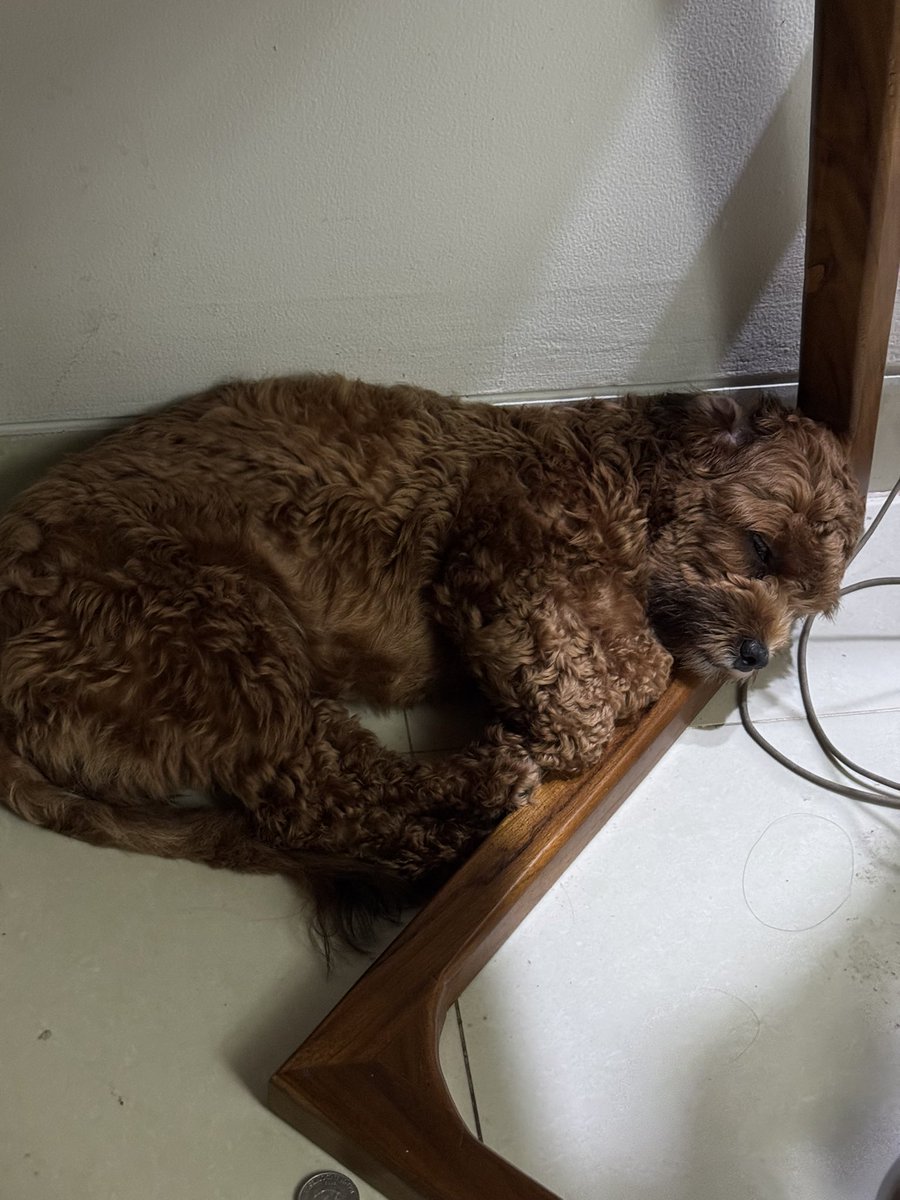 Rio Ricardo tweet media