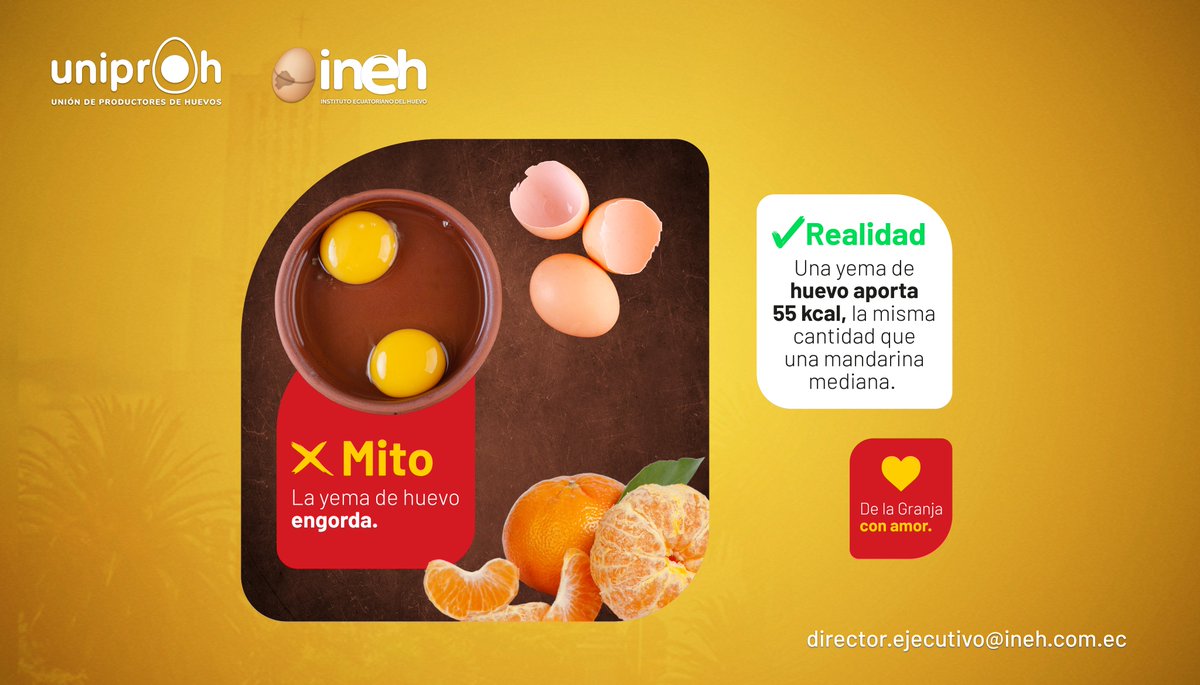 Uniproh_Ec's tweet photo. Mito vs. Verdad
El huevo es un alimento nutritivo, lleno de proteínas y beneficios para tu salud. ¡No le temas, inclúyelo en tu dieta balanceada!
#nutrición #saludable #MitosYVerdades #uniproh #INEH https://t.co/DPa8LRr18m