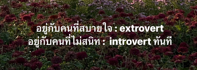 小 tweet media
