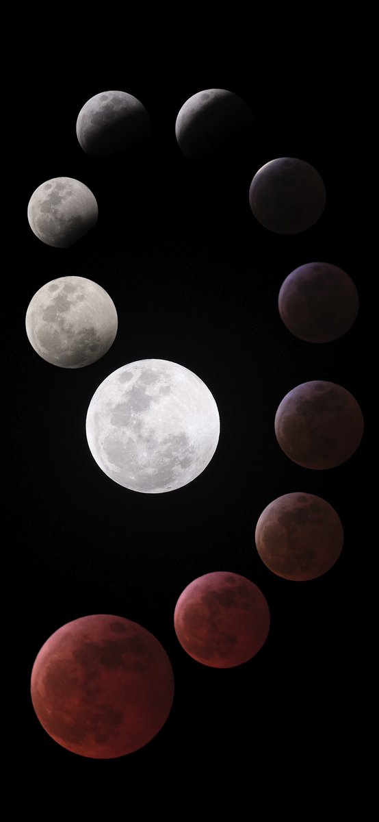 Jaime Andreu Galvan tweet media