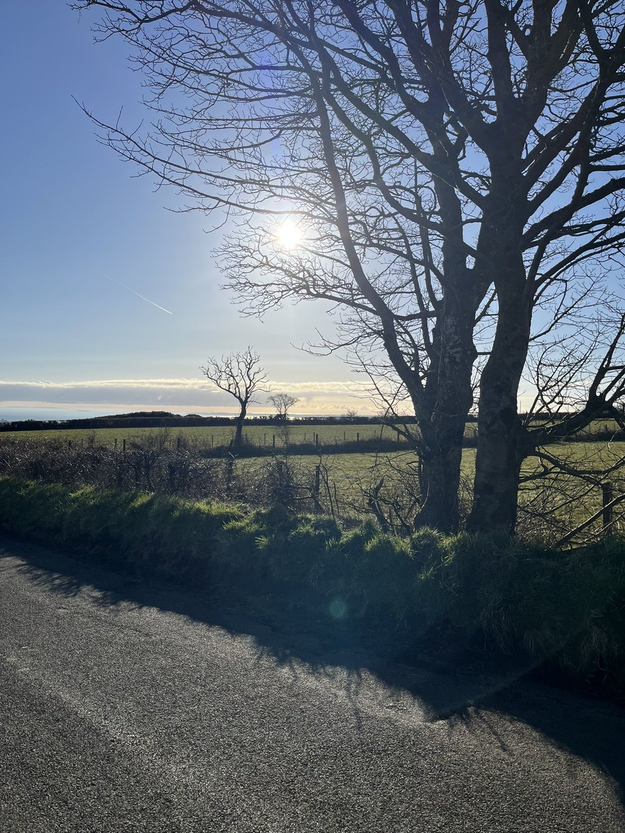 Adrian Boyd tweet media