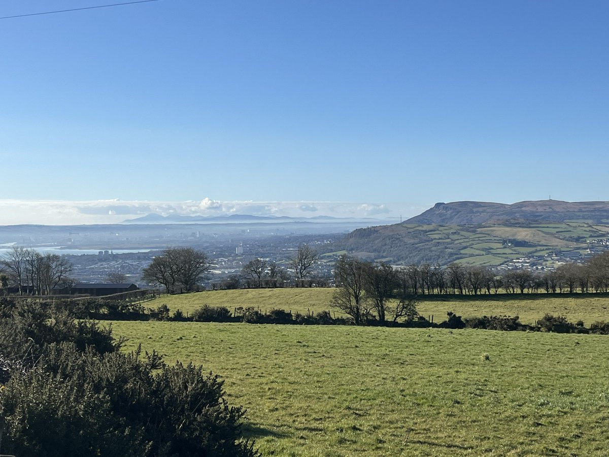 Adrian Boyd tweet media