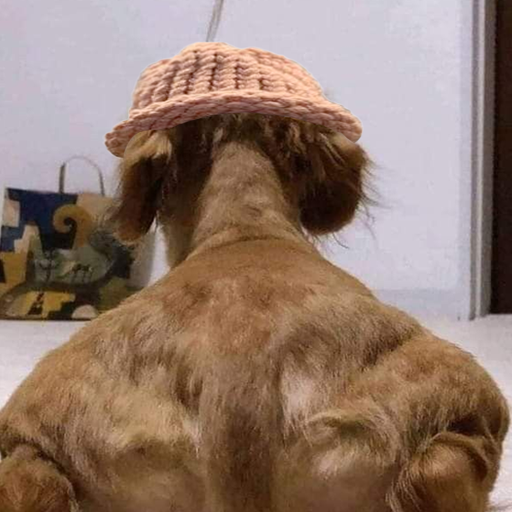 trenchguerilla's tweet photo. I bought #wifback
#sidewif do well today why not wif jacked back
my entry 9k
dex will be paid
ca: 62mA9hLWeoRRXywCnYHFruXFq9A54ejFp3Qo5RmDpump
https://t.co/G9uFIks9Zf https://t.co/ZcO95CdENl