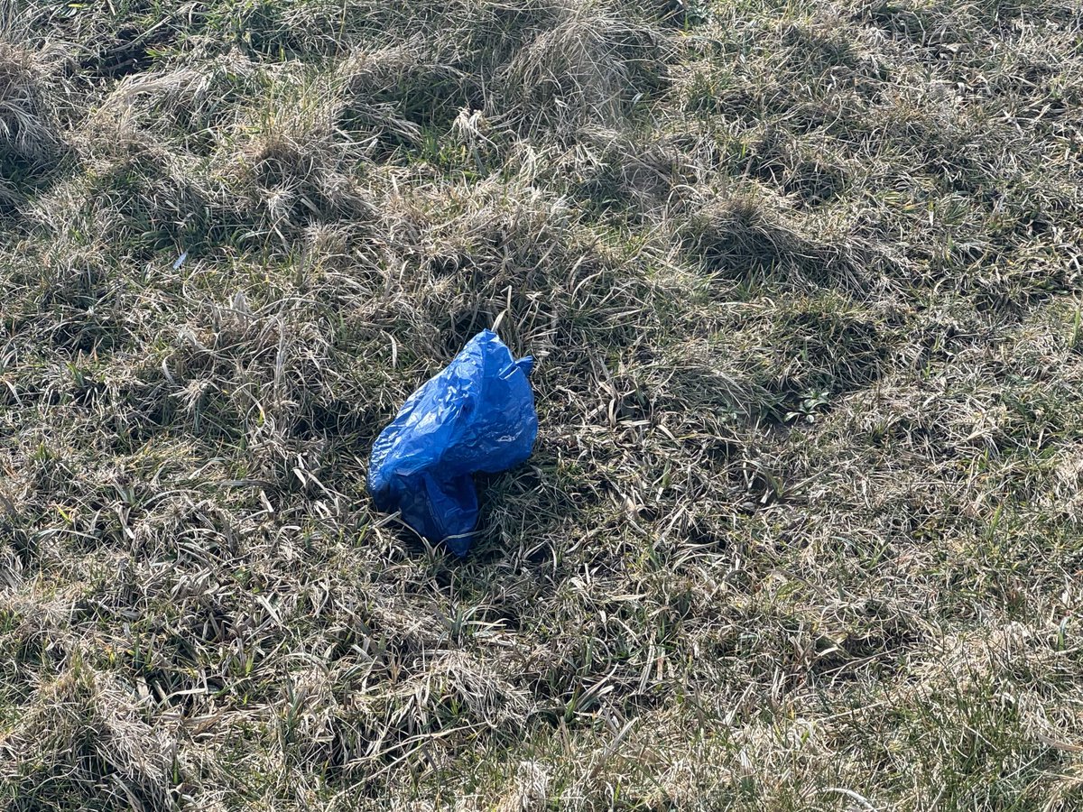 PDurkan's tweet image. Went down to @kilkee today for a refreshing walk, weather great, the place looking really well, thanks to the efforts all businesses and ⁦@ClareCoCo⁩ why would some absolute ****** go to the bother of picking up after his/her dog and leave this bag on the cliff walk🤦‍♂️🤦‍♂️😡