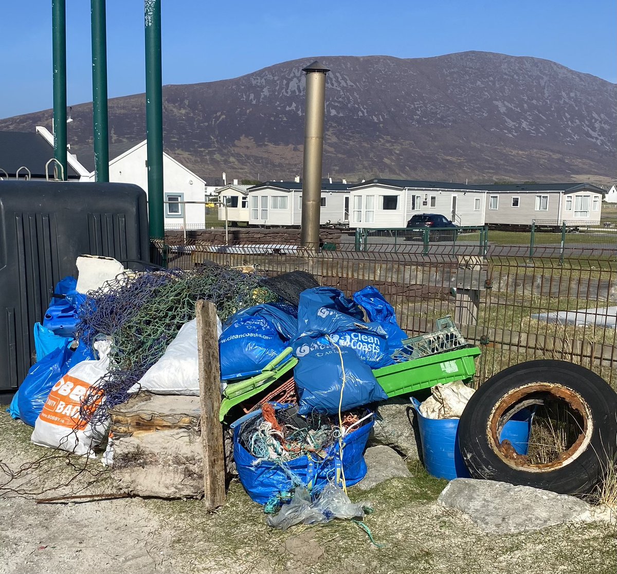 Noreen Curtis tweet media