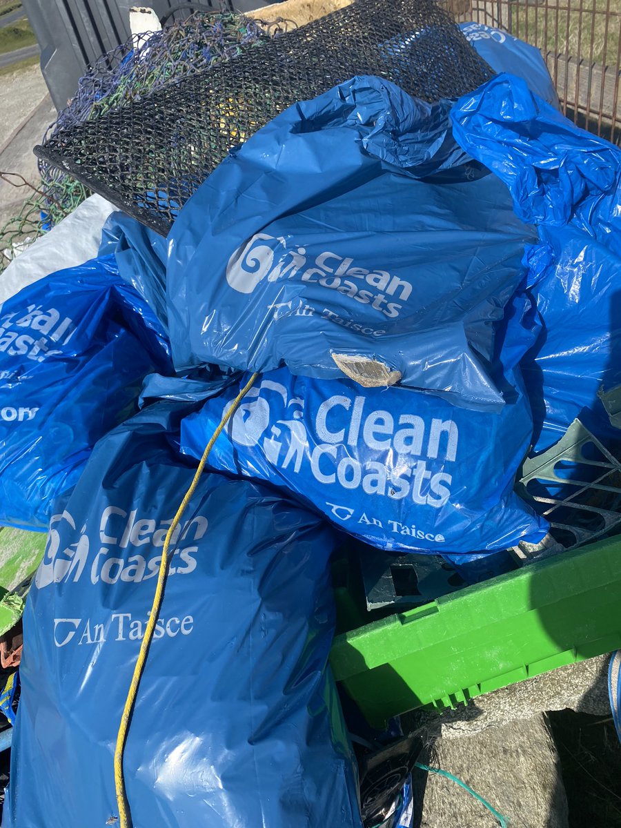 Noreen Curtis tweet media