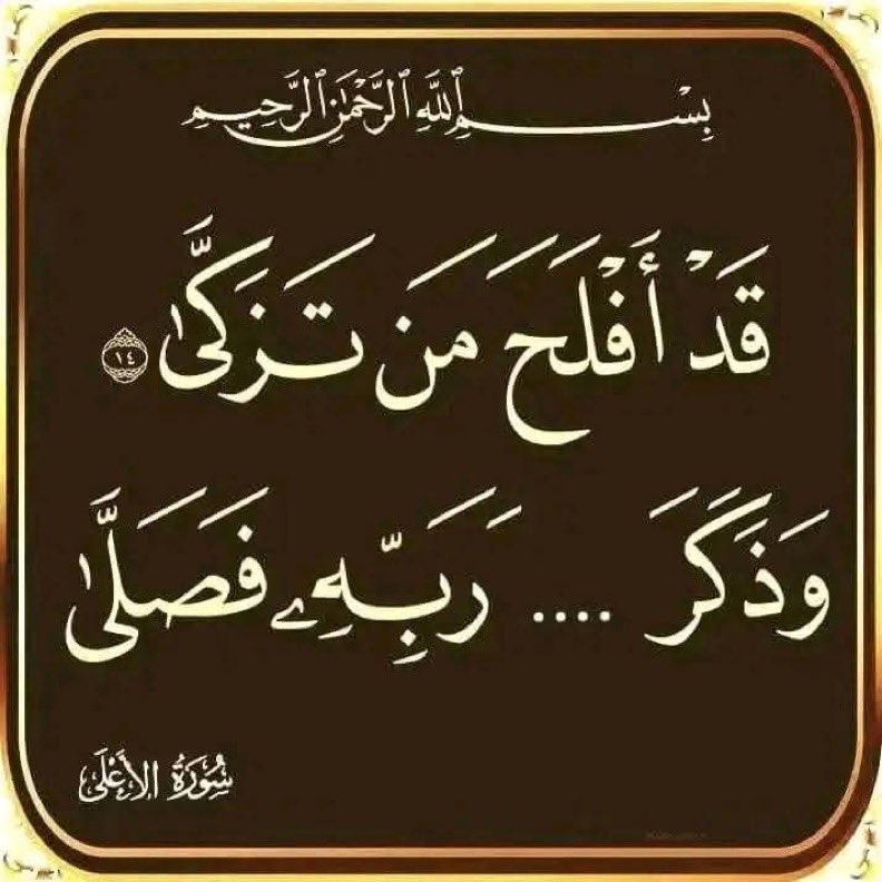 اختبر حفظك  الآن🤍