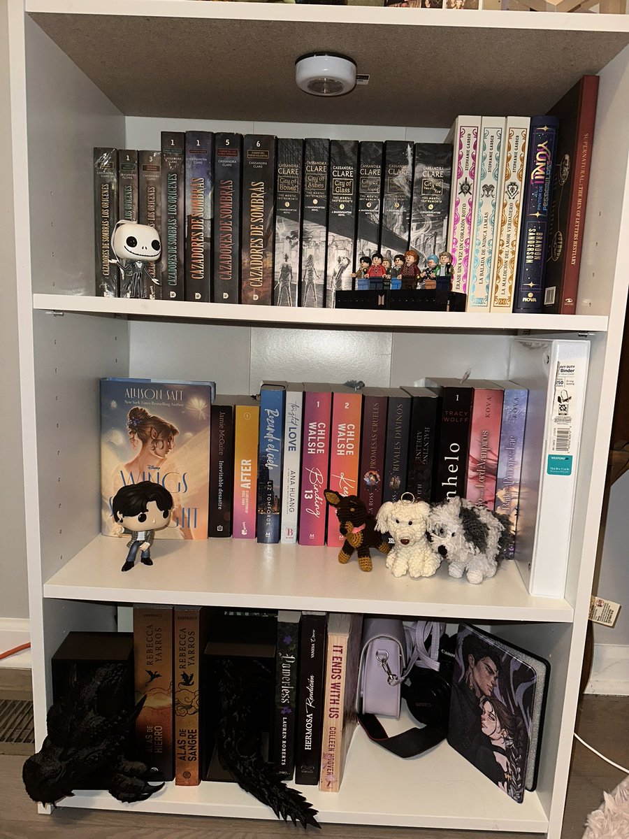 soynayeCS's tweet photo. @g_vanille Comencé desde 0 a comprar libros, me moví a Chicago y dejé mis libros en México. Baby steps!! https://t.co/TbBdCrerl9
