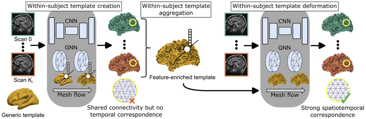 Imaging Neuroscience tweet media