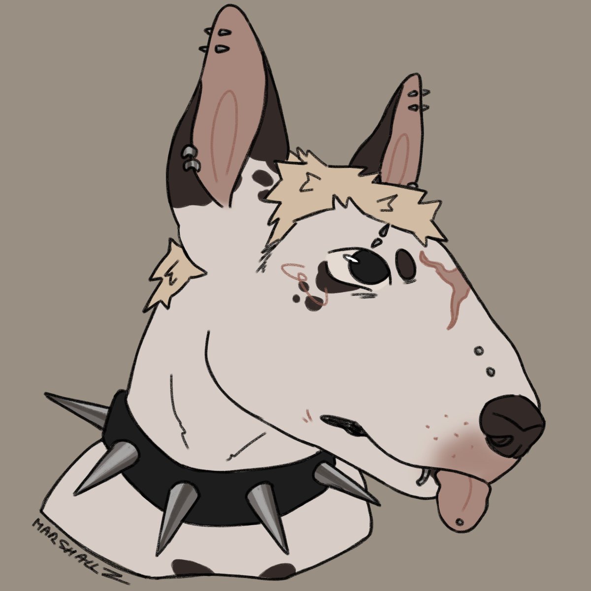 Marshall_24_'s tweet photo. NEW FURSONA https://t.co/PImKaPBMXA