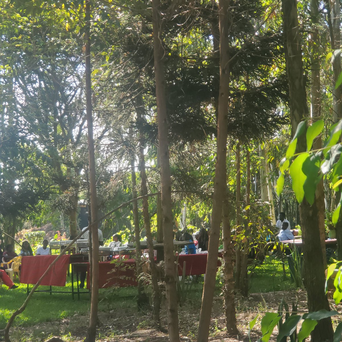 MiAmorBushes's tweet photo. Bring your meetings and team building activities in the bush https://t.co/JU1EC9D95V