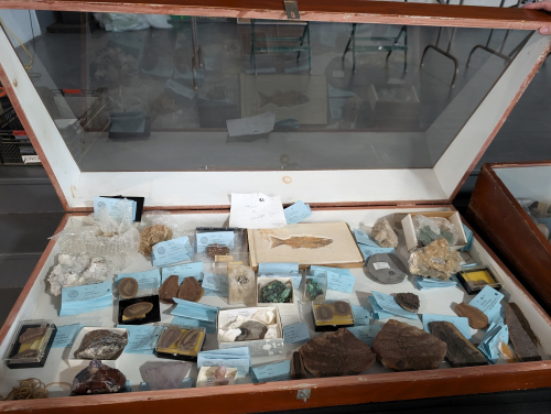 ESCONI's tweet photo. 2025 ESCONI Gem, Mineral, and Fossil Show - March 15th and 16th at the DuPage Fair Grounds #show #gems #minerals #fossils #rocks #awesometime
Today is the day! Come on out!
https://t.co/slcRQZN0EG https://t.co/ORGrQoEzj7