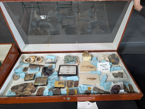 ESCONI's tweet photo. 2025 ESCONI Gem, Mineral, and Fossil Show - March 15th and 16th at the DuPage Fair Grounds #show #gems #minerals #fossils #rocks #awesometime
Today is the day! Come on out!
https://t.co/slcRQZN0EG https://t.co/ORGrQoEzj7