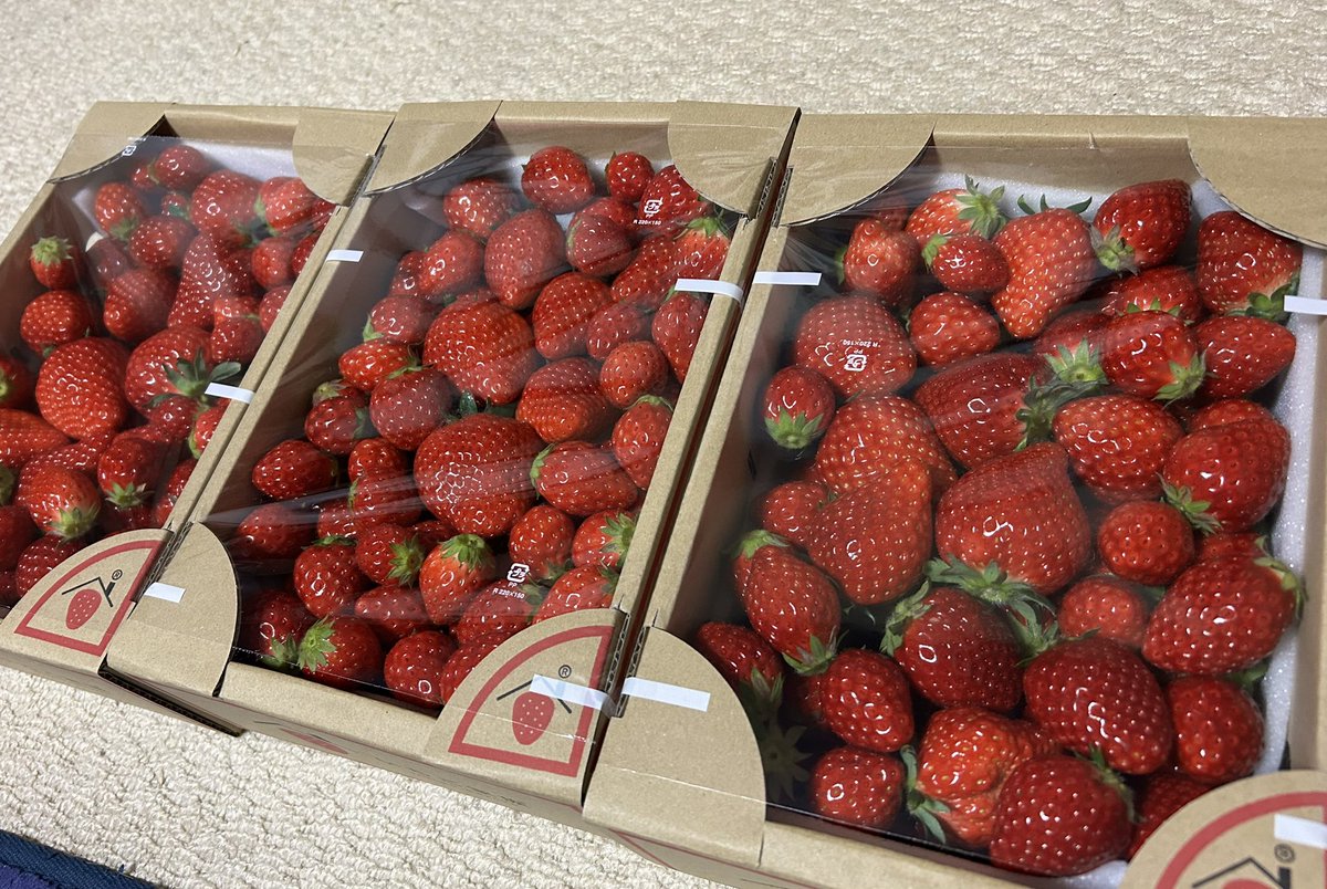 kn_boc_'s tweet photo. ホワイトデー
ありがとう〜🍓🧦 https://t.co/H3uK6KIE4u
