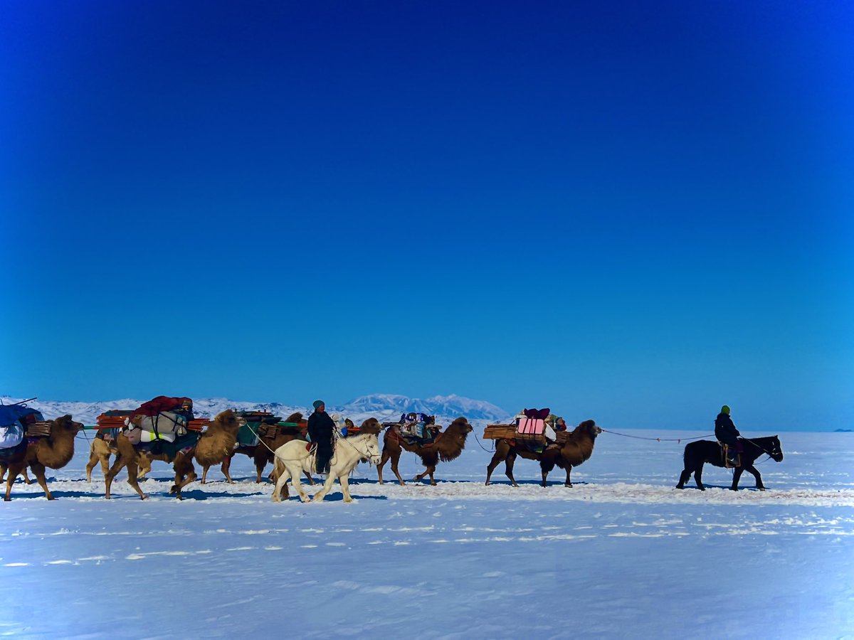 Увс аймаг Тариалан сум 
 2025.03.14 

Гар утсаар авсан зураг болно