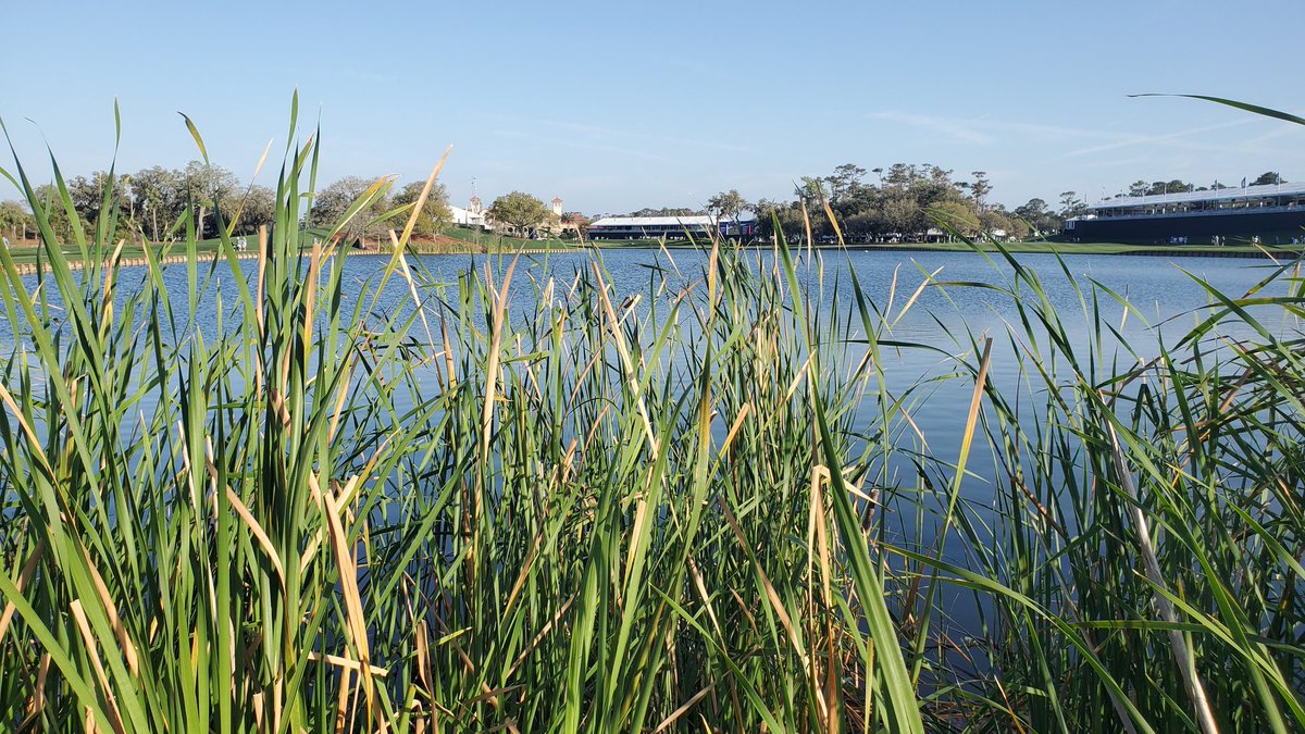 stevesworld tweet media