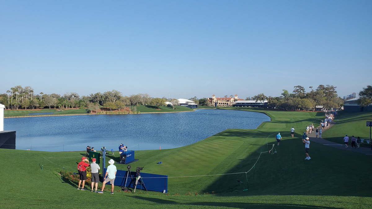 stevesworld tweet media