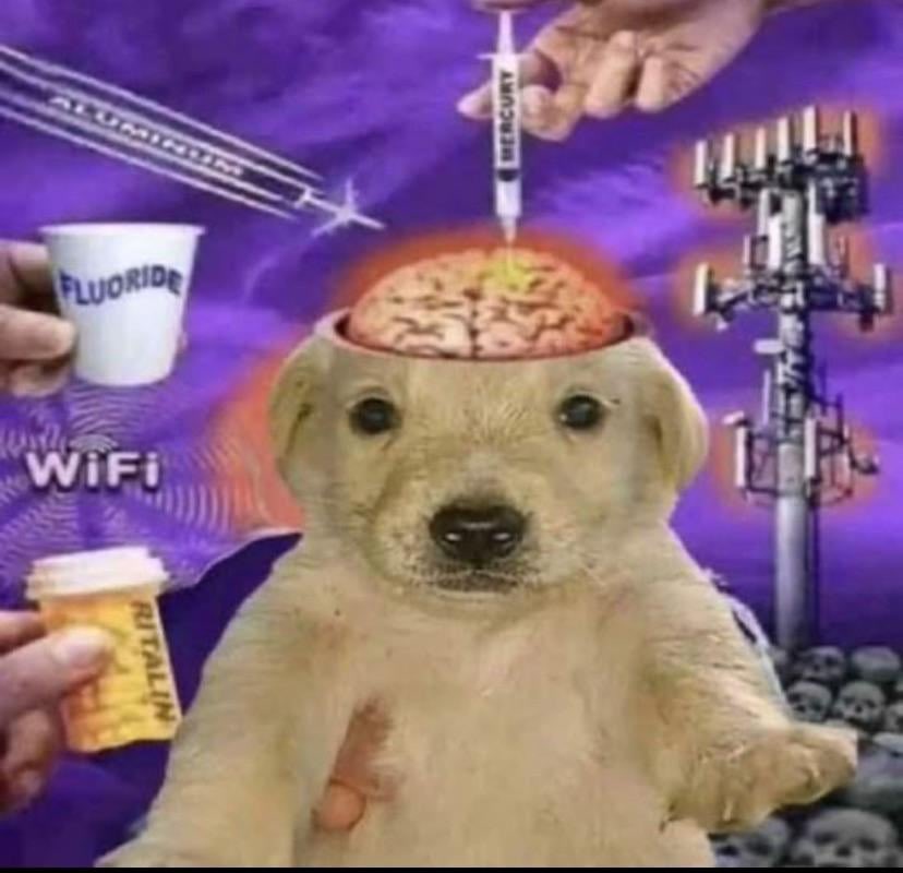 wrysepulchre's tweet image. what is this genre of picture called.