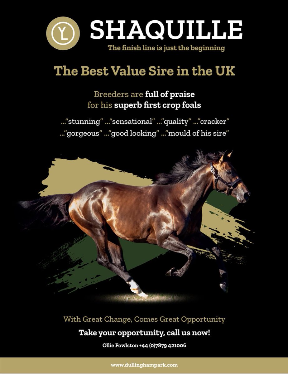 SHAQUILLE 🌟 The Best Value Sire in the UK…With great change, comes great opportunity 💭 <a href="/dullingham_park/">Dullingham Park</a> 

Call today! <a href="/YulongInvest/">Yulong Investments</a>
