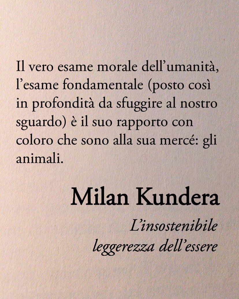 La vera bontà dell’uomo si può manifestare in tut­ta purezza e libertà solo nei confronti di chi non rap­presenta alcuna forza.

Immenso Kundera 📚